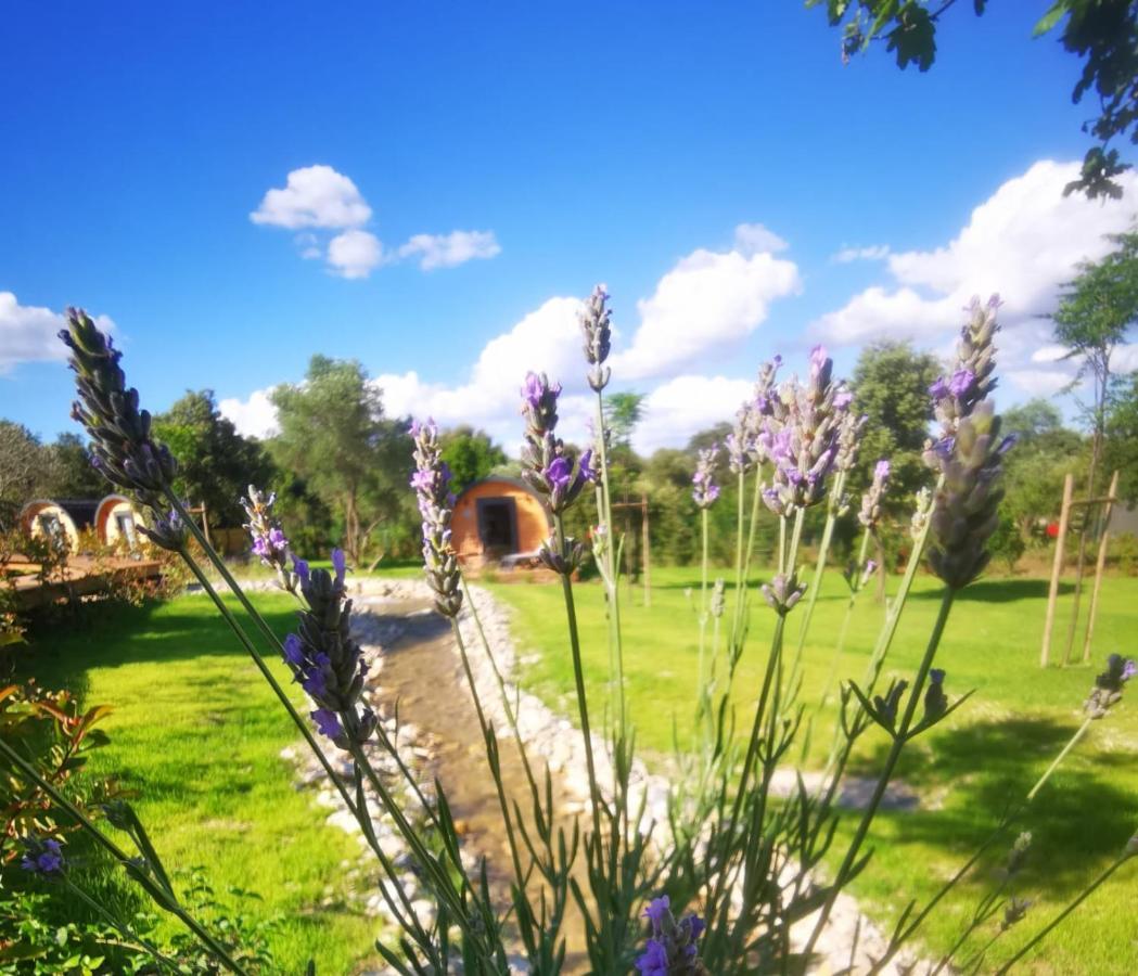 Camping Les Pres Du Roi Sommières Exterior foto